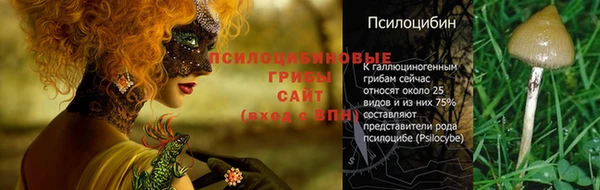 кокаин премиум Богородицк