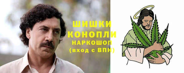 гашик Богородск