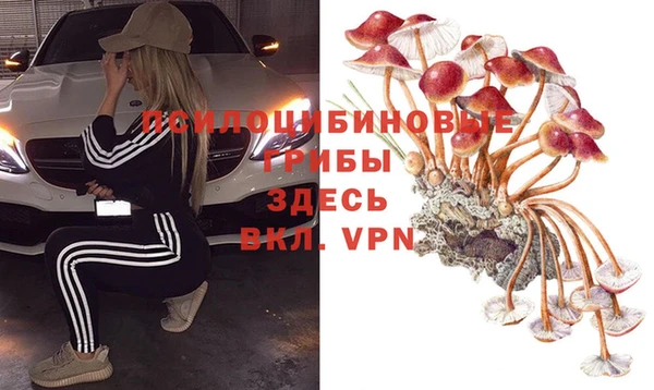 Альфа ПВП Богданович