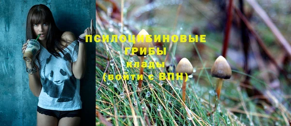 кокаин премиум Богородицк