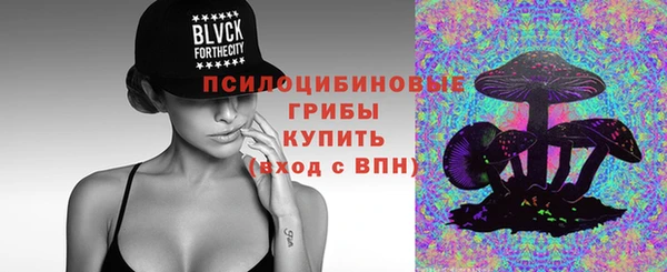 ГАЛЛЮЦИНОГЕННЫЕ ГРИБЫ Беломорск